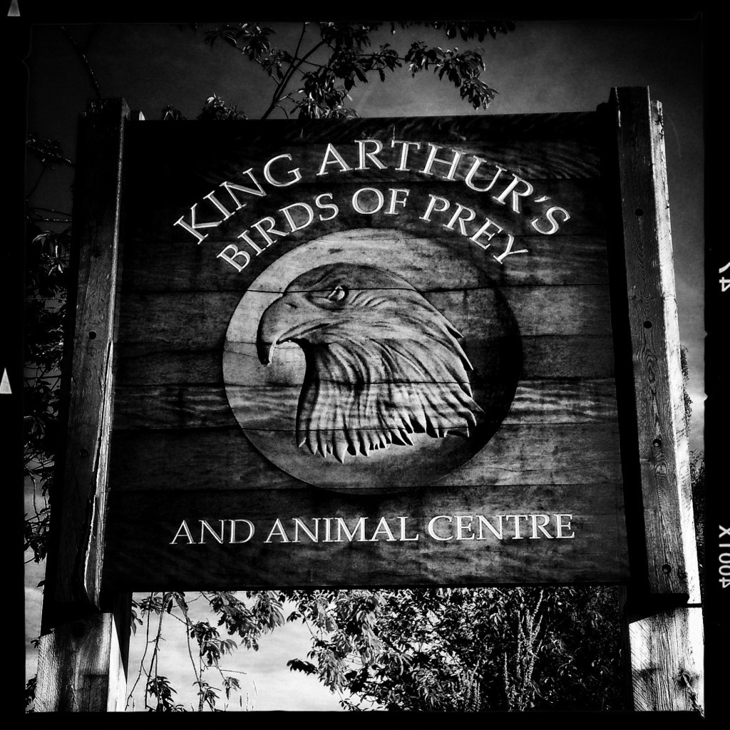 King Arthurs Animal Centre