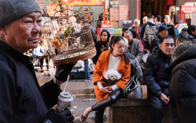 The HongKongers by Nicolas Petit