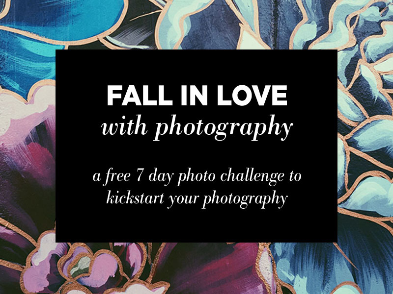 Fall in Love with Photography: Join the 7 day photo challenge