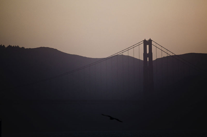 San Francisco's Golden Gate bridge from Crissy Fields